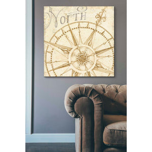 'Coast to Coast Sepia I' by Daphne Brissonet, Canvas Wall Art,37 x 37
