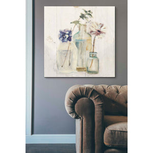 'Blossoms on Birch III' by Cheri Blum, Canvas Wall Art,37 x 37