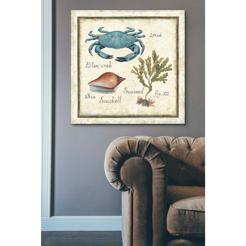 Image of 'Oceanography IV' by Daphne Brissonet, Canvas Wall Art,37 x 37