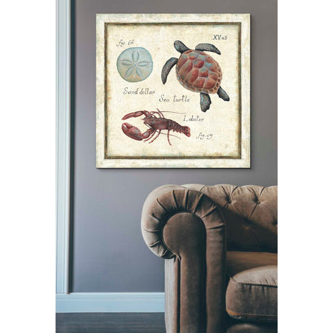 Image of 'Oceanography II' by Daphne Brissonet, Canvas Wall Art,37 x 37