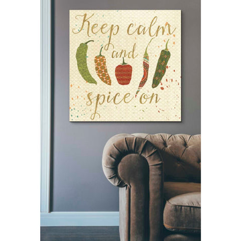 Image of 'Mexican Fiesta VI' by Veronique Charron, Canvas Wall Art,37 x 37
