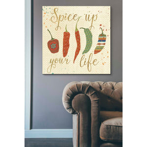 'Mexican Fiesta V' by Veronique Charron, Canvas Wall Art,37 x 37