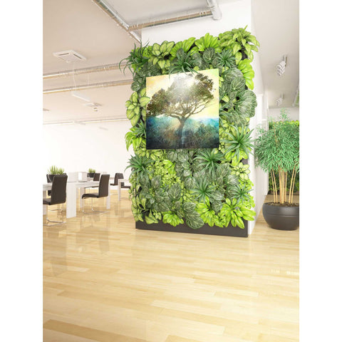 Image of 'Tree And Sun' by Elena Ray Canvas Wall Art,37 x 37