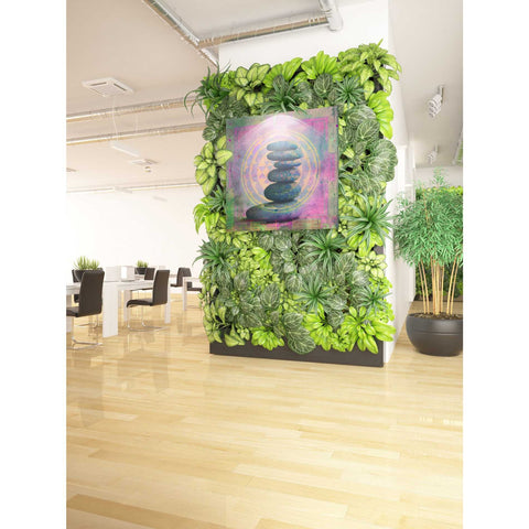 Image of 'Soul In Balance' by Elena Ray Canvas Wall Art,37 x 37
