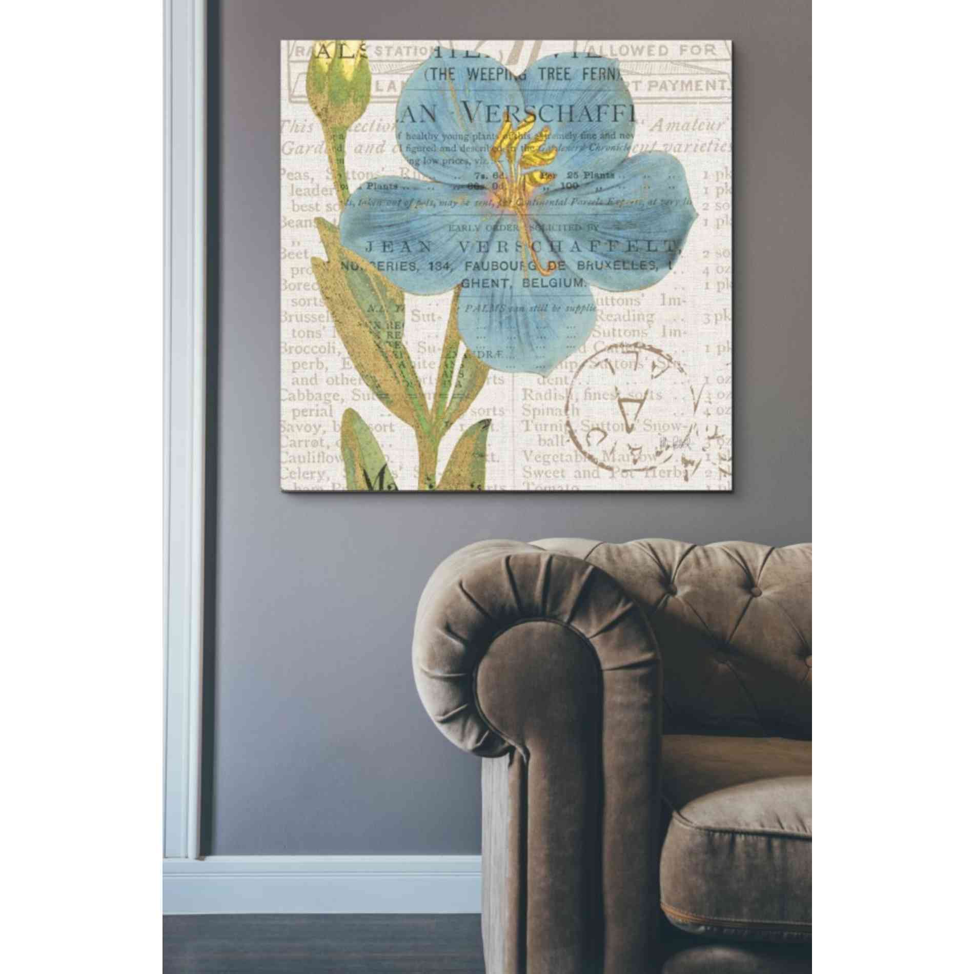 'Bookshelf Botanical VI' by Katie Pertiet, Canvas Wall Art,37 x 37