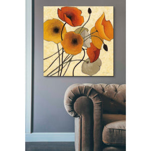 'Pumpkin Poppies II' by Shirley Novak, Canvas Wall Art,37 x 37