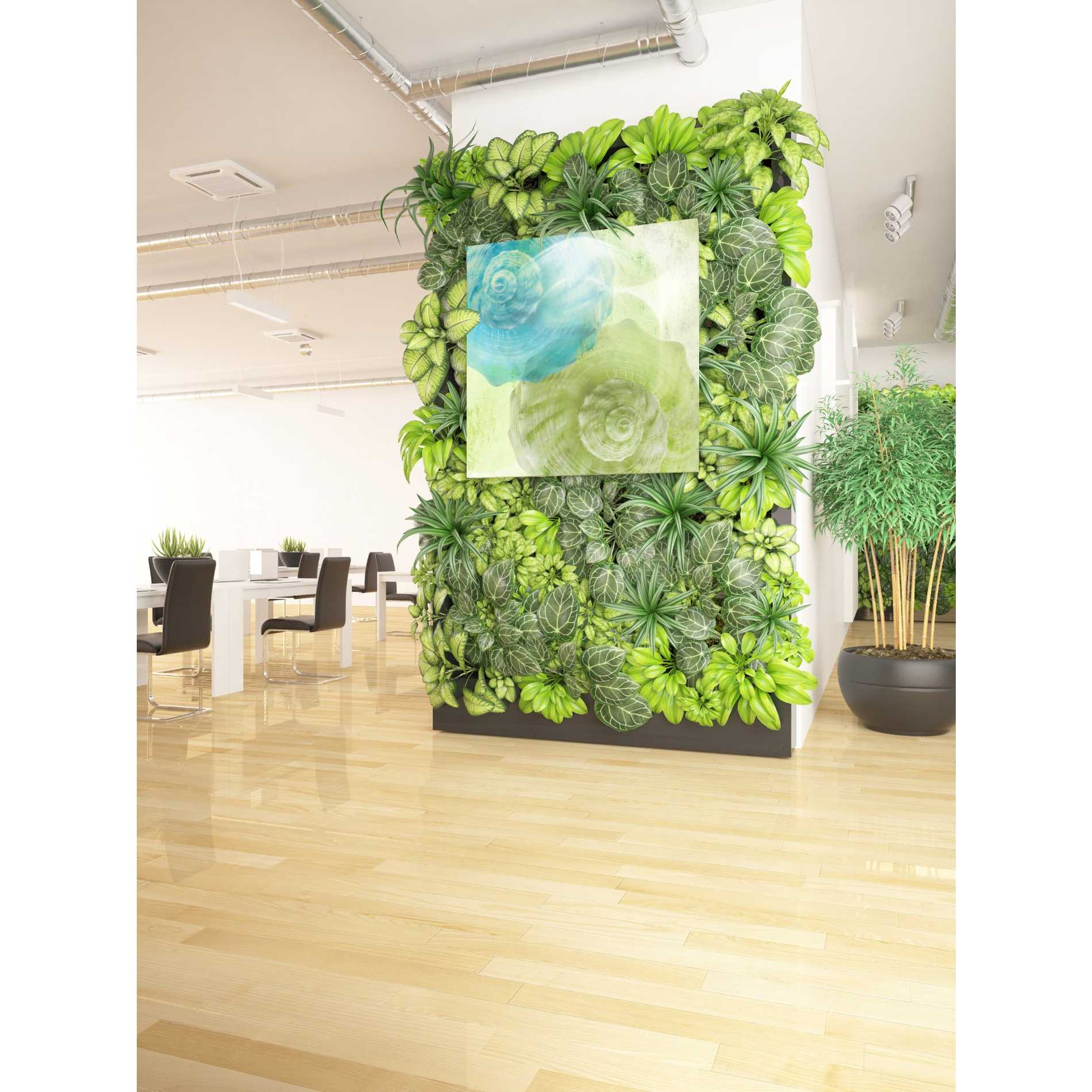 'Luminous Seashells 3' by Elena Ray Canvas Wall Art,37 x 37