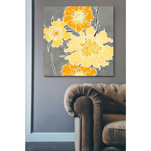 'Cloisonne Beauty I Gray' by Shirley Novak, Canvas Wall Art,37 x 37