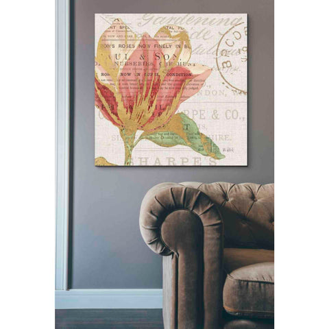 Image of 'Bookshelf Botanical III' by Katie Pertiet, Canvas Wall Art,37 x 37
