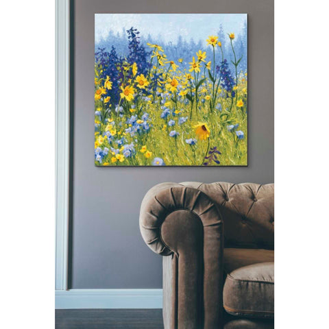 Image of 'Joyful in July III' by Shirley Novak, Canvas Wall Art,37 x 37