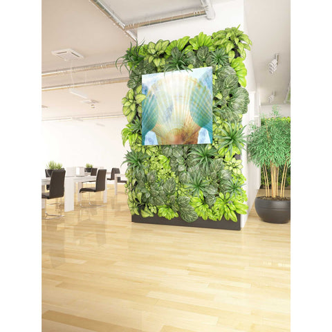 Image of 'Luminous Seashells 2' by Elena Ray Canvas Wall Art,37 x 37