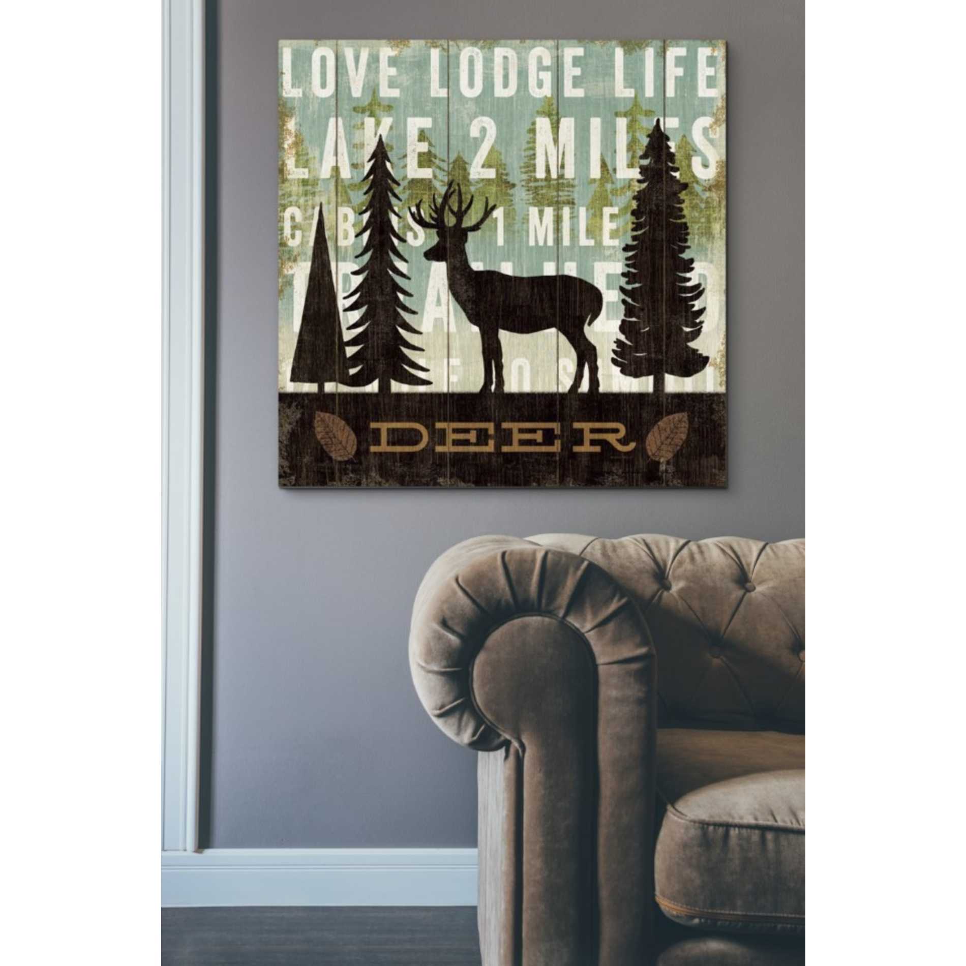 'Simple Living Deer' by Michael Mullan, Canvas Wall Art,37 x 37