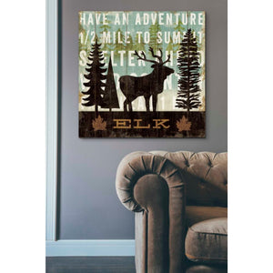 'Simple Living Elk' by Michael Mullan, Canvas Wall Art,37 x 37