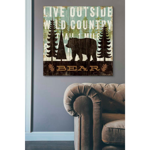 Image of 'Simple Living Bear' by Michael Mullan, Canvas Wall Art,37 x 37