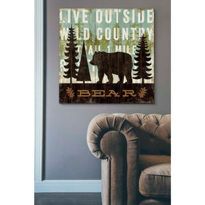 'Simple Living Bear' by Michael Mullan, Canvas Wall Art,37 x 37