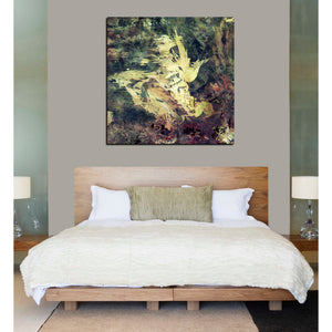 'Earth As Art: Sandy Scars' Canvas Wall Art,37 x 37