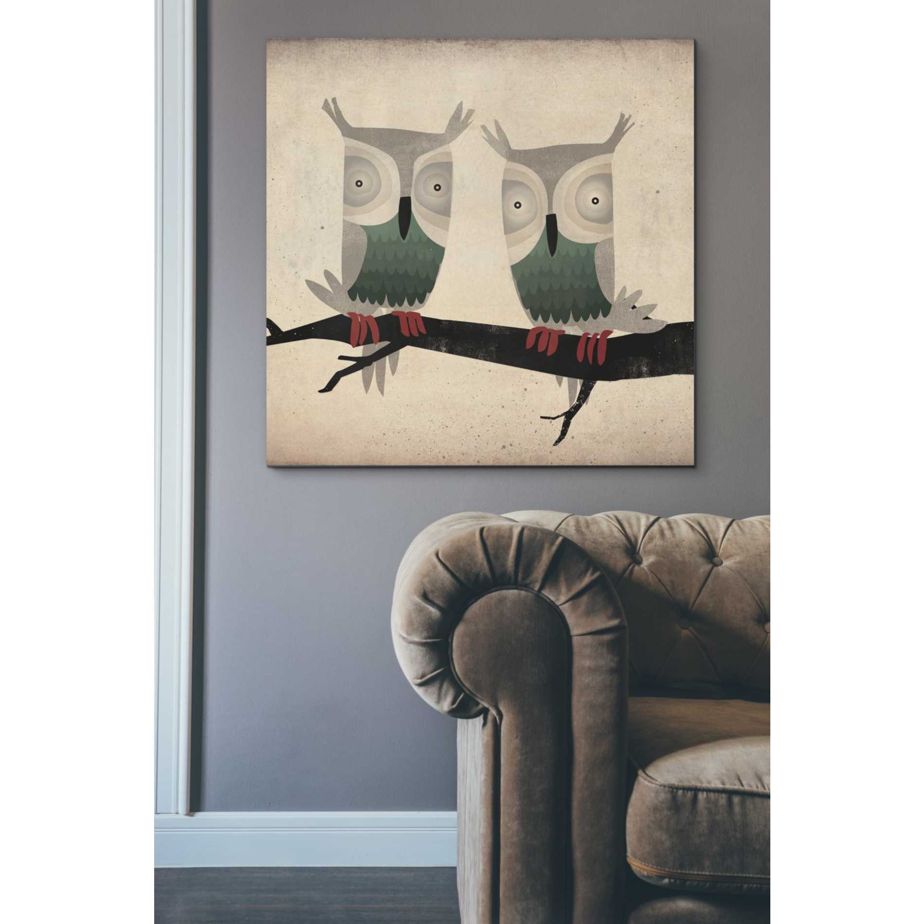'Tan Owls Square' by Ryan Fowler, Canvas Wall Art,37 x 37