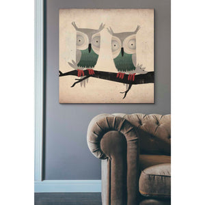 'Tan Owls Square' by Ryan Fowler, Canvas Wall Art,37 x 37