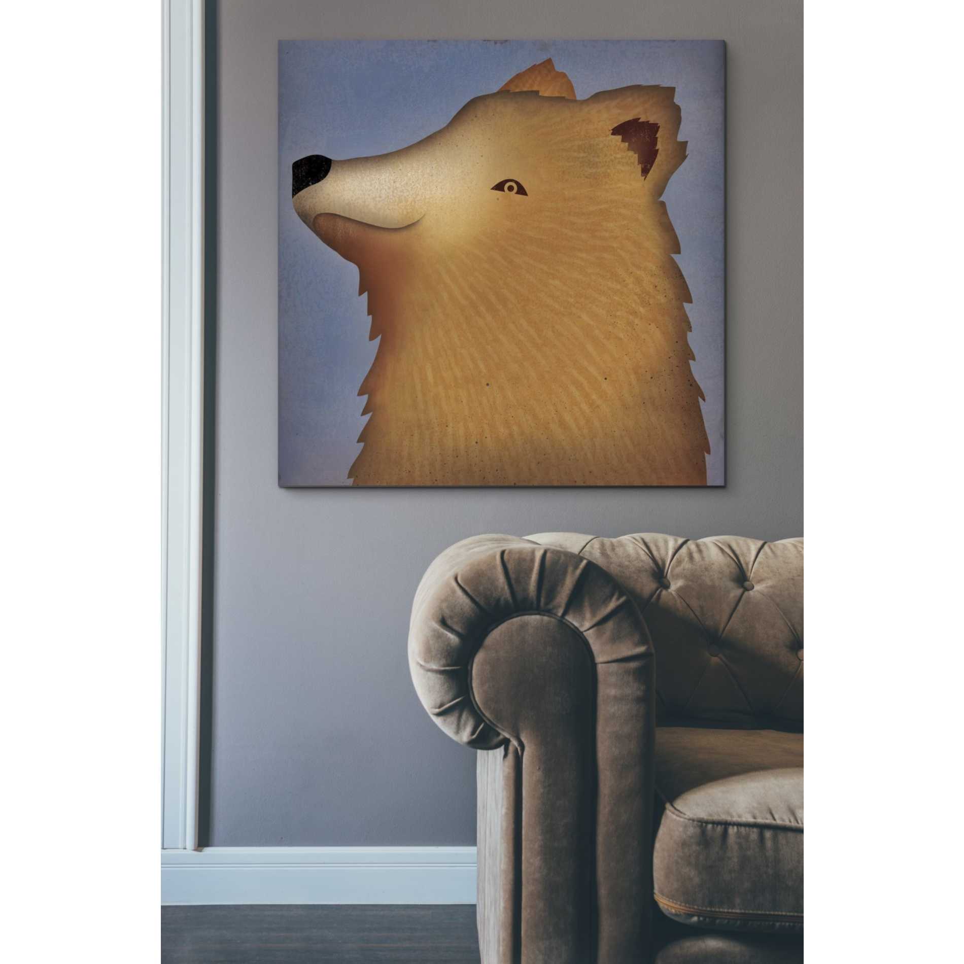 'Brown Bear Wow' by Ryan Fowler, Canvas Wall Art,37 x 37