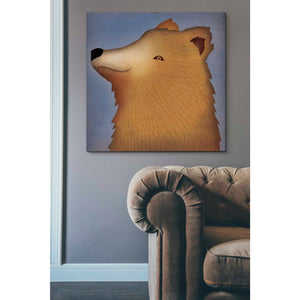 'Brown Bear Wow' by Ryan Fowler, Canvas Wall Art,37 x 37