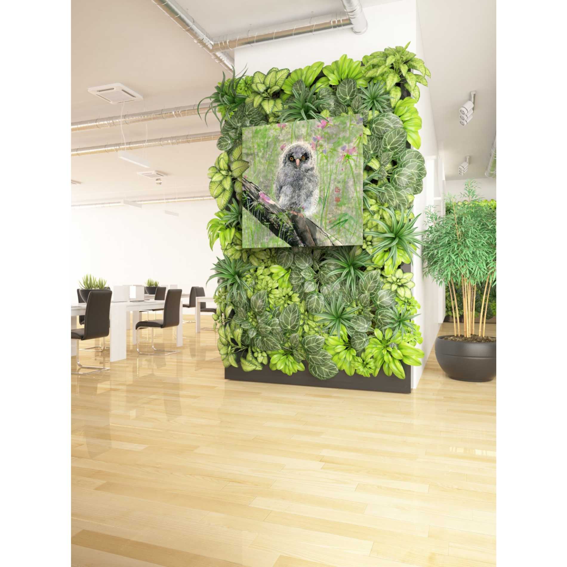 'Owlet' by River Han, Giclee Canvas Wall Art