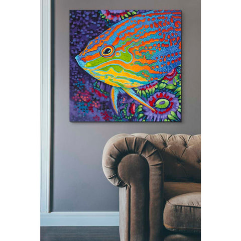 Image of 'Brilliant Tropical Fish I' by Carolee Vitaletti Giclee Canvas Wall Art