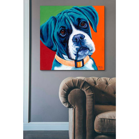Image of 'Cute Pups I' by Carolee Vitaletti Giclee Canvas Wall Art