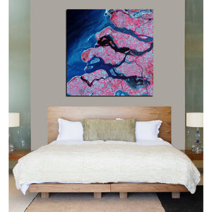 'Earth As Art: Delta Region' Canvas Wall Art,37 x 37