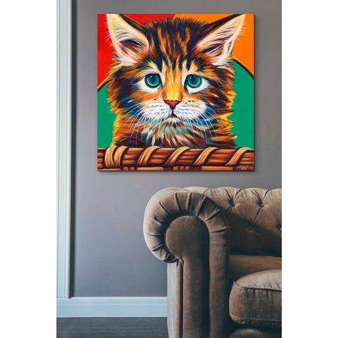 Image of 'Kitten in Basket I' by Carolee Vitaletti Giclee Canvas Wall Art