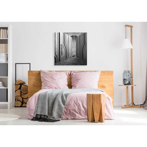 Image of 'Armadillo' by Dariusz Klimczak, Giclee Canvas Wall Art