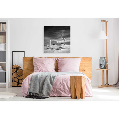 Image of 'Daydream' by Dariusz Klimczak, Giclee Canvas Wall Art