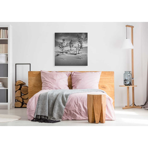 Image of 'Egarden' by Dariusz Klimczak, Giclee Canvas Wall Art