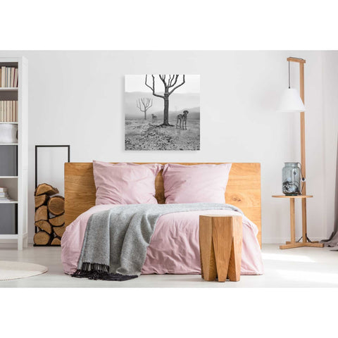 Image of 'Dogs in Fog' by Dariusz Klimczak, Giclee Canvas Wall Art