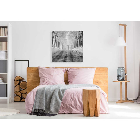 Image of 'Surprise' by Dariusz Klimczak, Giclee Canvas Wall Art