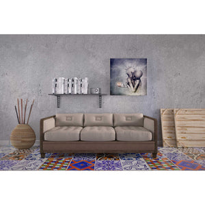 'Souvenirs We Never Lose' by Cameron Gray, Canvas Wall Art,37 x 37