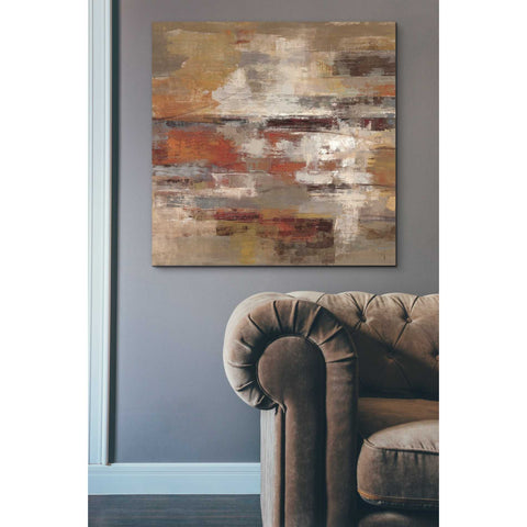 Image of 'Painted Desert' by Silvia Vassileva, Canvas Wall Art,37 x 37