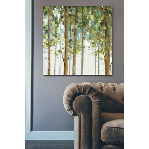 Image of 'Forest Study' by Lisa Audit, Canvas Wall Art,,37 x 37