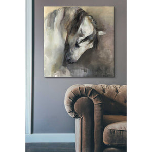 'Classical Horse' by Marilyn Hageman, Canvas Wall Art,37 x 37