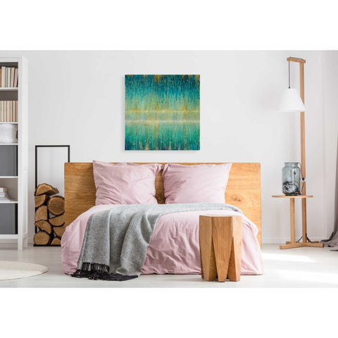 Image of 'Rain Abstract I' by Danhui Nai, Canvas Wall Art,37 x 37