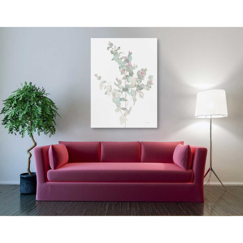 Image of 'Eucalyptus II White' by Danhui Nai, Canvas Wall Art,40 x 54