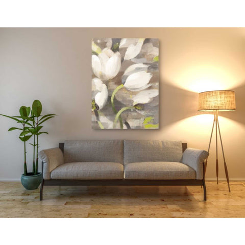 Image of 'Tulip Delight II' by Albena Hristova, Canvas Wall Art,40 x 54