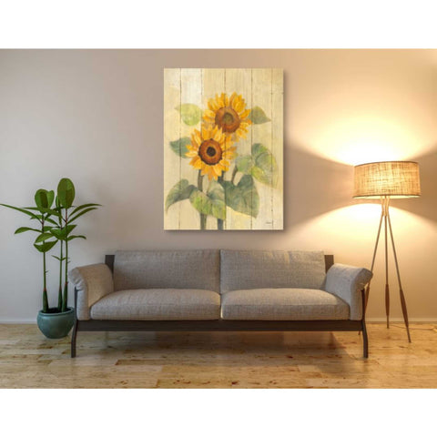 Image of 'Summer Sunflowers I on Barn Board' by Albena Hristova, Canvas Wall Art,40 x 54