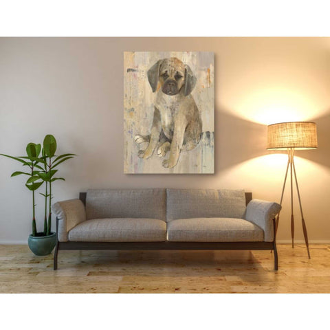 Image of 'Paco v2' by Albena Hristova, Canvas Wall Art,40 x 54