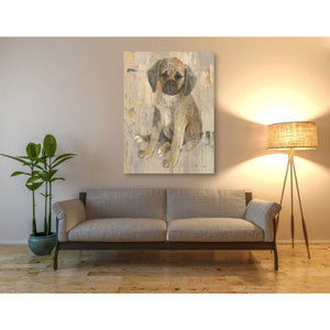 'Paco v2' by Albena Hristova, Canvas Wall Art,40 x 54