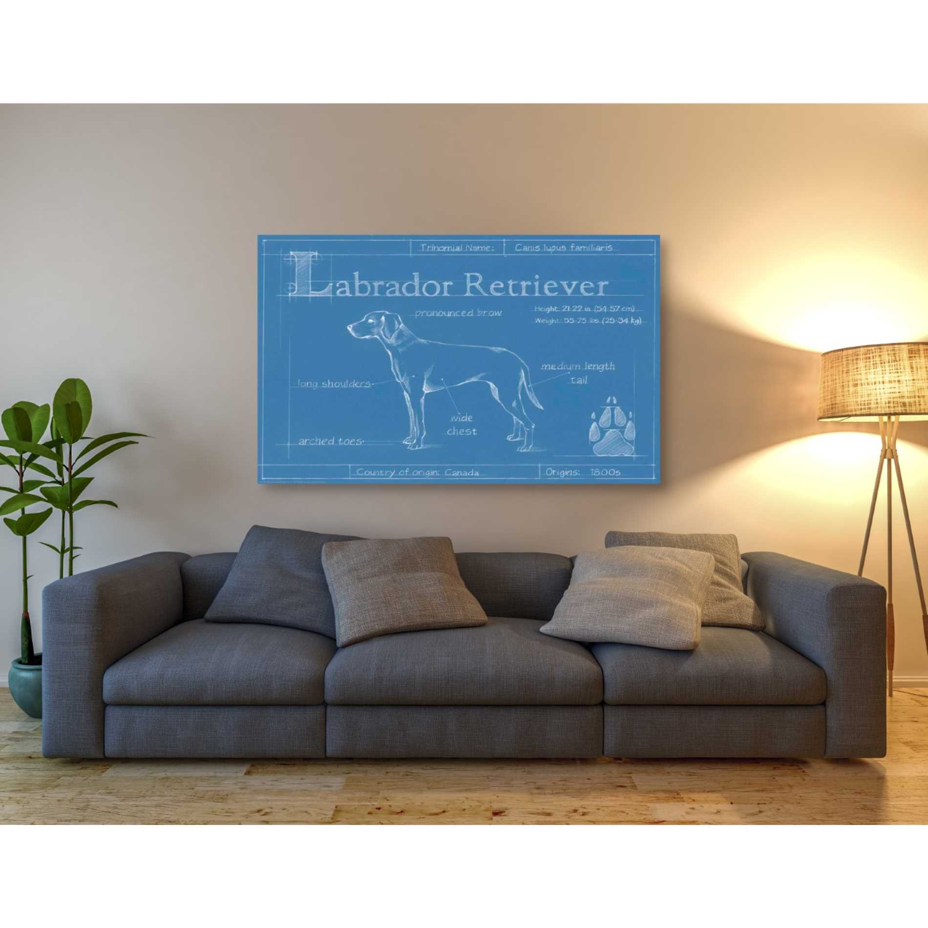 'Blueprint Labrador Retriever' by Ethan Harper Canvas Wall Art,54 x 40