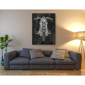 'Steel Horse II' by Ethan Harper Canvas Wall Art,40 x 54