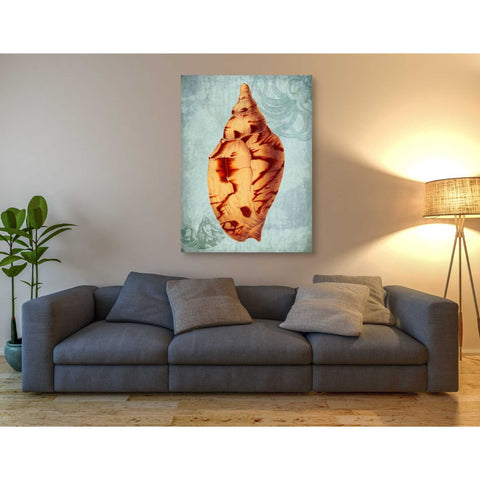 Image of 'Coastal Life Collection 2 d' by Fab Funky Giclee Canvas Wall Art