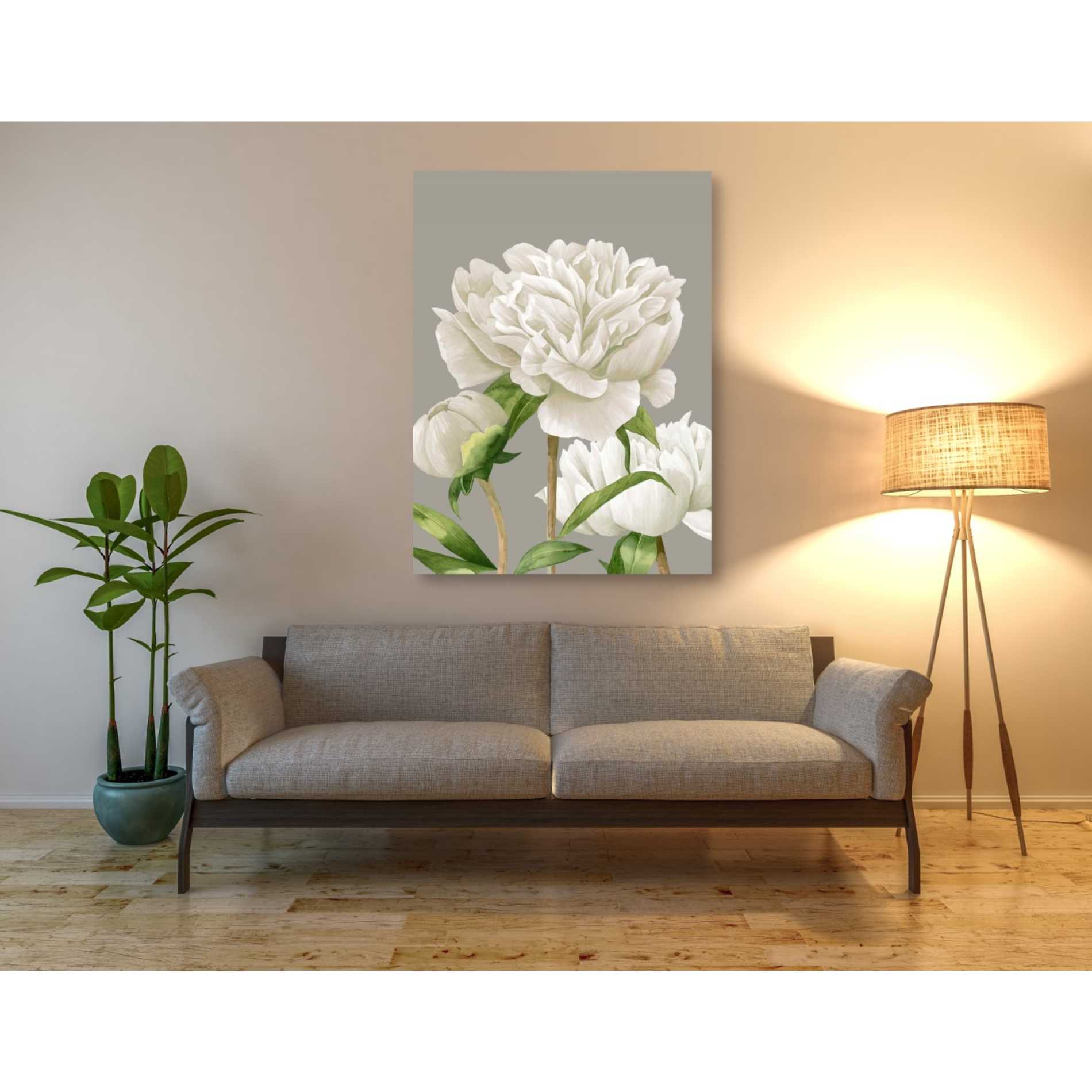 'White Peonies II' by Grace Popp Canvas Wall Art,40 x 54