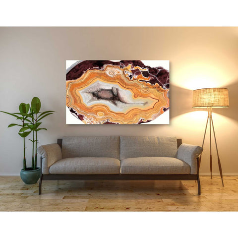 Image of 'Agate Studies III" by Naomi McCavitt. McCavitt Giclee Canvas Wall Art