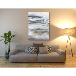 'Neutral Salt Spray I' by Victoria Borges Canvas Wall Art,40 x 54